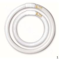 飞利浦 PHILIPS TLE 22W/33 Philips 普通环形荧光灯22W/G10q中性白 3支