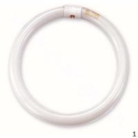 飞利浦 PHILIPS TLE 22W/54 Philips 普通环形荧光灯22W/G10q日光色 3支