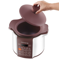 九阳 Joyoung D-35Z1 电炖锅