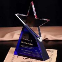 萃姿尔(TRESOR)五角星水晶奖杯 颁奖纪念品150*220mm 可刻字71411