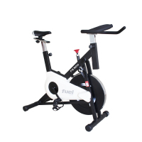 岱宇(DYACO) 动感单车 健身车 家用健身 静音 FS300
