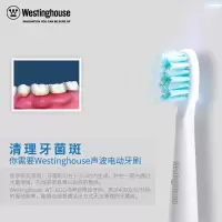 西屋(WESTINGHOUSE)牙刷头WT04 声波震动式电动牙刷头亮白牙齿 含牙刷头2个 适用型号WT-101G/B