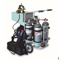 霍尼韦尔 Honeywell BC1766014 移动小车经济型(无逃生装置,不含气瓶) 1套