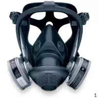 霍尼韦尔(Honeywell) 772000 OPTI-FIT 系列双滤盒硅胶全面罩 ( 大号) 1 只/盒 1个