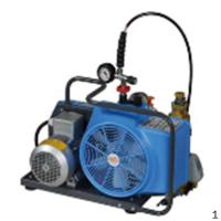 霍尼韦尔 Honeywell BC163099R 电动充气泵(220V) 1个