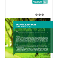 LG 梦运洁免水洗消毒液500ml/瓶 18瓶/箱