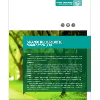 LG 梦运洁免水洗消毒液500ml/瓶 18瓶/箱