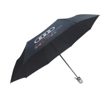 雨之恋雨伞折叠伞