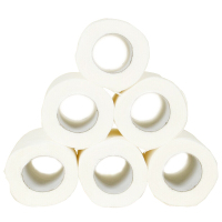 竹林雨 DT 洁柔粉色空芯纸G7 12卷/提 85571