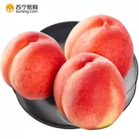 新鲜水果 水蜜桃一箱12颗 时令 桃香四溢（绿色食品）