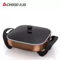 志高电火锅H8(DC)