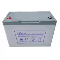 LEOCH 理士铅酸蓄电池 DJM1255（12V 55AH）