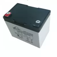 LEOCH 理士铅酸蓄电池 DJW12-33(12V 33AH)