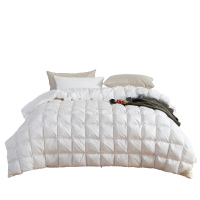 金丝莉(kintheri) 皇家轻奢白鹅绒被