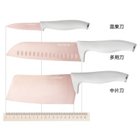 九阳刀具套装厨房全套厨具家用切菜刀不锈钢辅食刀厨师专用刀水果刀T0104 白色