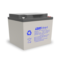 雷迪司(LADIS)38AH UPS不间断电源 铅酸免维护蓄电池12V 38AH