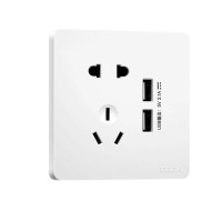 德力西 CD821系列 二位USB五孔插座 时尚白纯平大板 (单位:个)