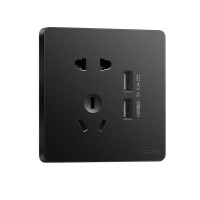 德力西 CD821系列 二位USB五孔插座 磨砂黑纯平大板 (单位:个)