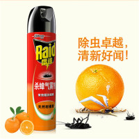 雷达杀虫气雾剂柑橘600ML(单位:件)