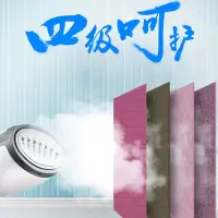 中天 手持挂烫机ZG-G2000 不锈钢刷面迷你便携 单台装