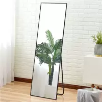 穿衣镜 落地全身镜 试衣镜子 铝合金窄框防爆 150*40cm