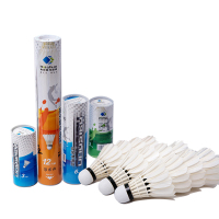 海硕(Haishuo) 羽毛球HS21266 六只装