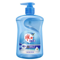 雕牌 海盐洗手液 500ml 整箱销售 12瓶/箱 1箱起订