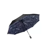 小蜜蜂 雨伞