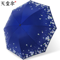 天堂伞 塞上雏菊 黑胶晴雨伞(把)