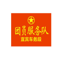 袖标(团员服务队)