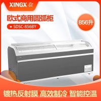 星星(XINGX) 卧式冷柜 速冻冷藏 超市商场适用 856升 SD/SC 856BY(石墨灰)