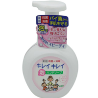 日本进口狮王(LION) 趣净 全植物泡沫洗手液 淡香型 250ml 净化皮肤 健康抑菌