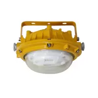 众朗星 ZL8923-L48 固态防爆节能工作灯 48W LED光源