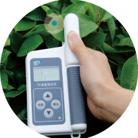叶绿素测定仪TYS-B 快速检测仪含量便携式数显直读