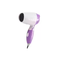 龙的(longde) 电吹风 850W LD-BQ85A