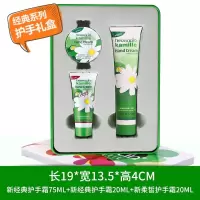 贺本清小甘菊经典礼盒-A   