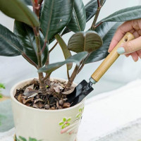 植树节工具套装幼儿园儿童种植花草花卉小工具家用铲子园艺种树农大号园艺三件套