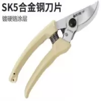 植树节花具园艺工具折叠农具庭院喷水壶用品花盆小号盆栽花艺修枝剪佐川田130T