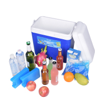 企购优品优驰 汽车冷热两用保温箱 车载家用冷藏箱 外卖钓鱼保鲜箱 13L高效款全能保温箱