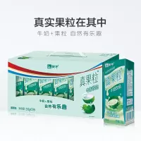 蒙牛真果粒椰果味250g*12