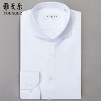 Youngor/CEO男士新品长袖衬衫005BYY