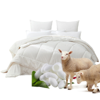 梦洁美颂 梦洁(MENDALE)家纺 蚕丝被羊毛二合一子母被四季被澳洲冬被子加厚保暖被芯床上用品