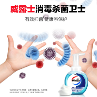 威露士 泡沫抑菌洗手液健康呵护袋装300ml(计价单位:袋)