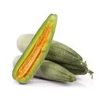 绿园德品 山东羊角蜜甜瓜5斤 5-8个装