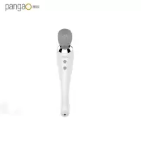 攀高(pangao) PG-M180 魔力棒 魔力棒 单台价格