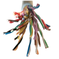 利锋国标线 室内大对数通讯电缆25对