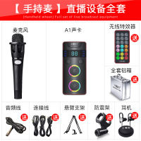 十盏灯 A1主播网红声卡套装 唱歌录音直播专用设备 手机电脑通用 麦克风E300、声卡 、调音器、数据线、全铝箱直播套装