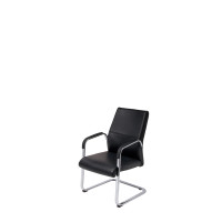 迪欧 人体工学 靠背椅 电脑椅 职员椅 老板椅 办公椅 DL1705C 黑色 西皮 570*640*1000(单位:套)