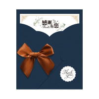 SCP 贺卡礼物 SCP-13879 创意商务邀请函节日生日蝴蝶结卡片(张)