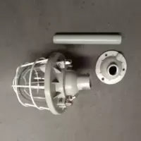 ANRUITE 管吊式防爆灯 100w 单位:个